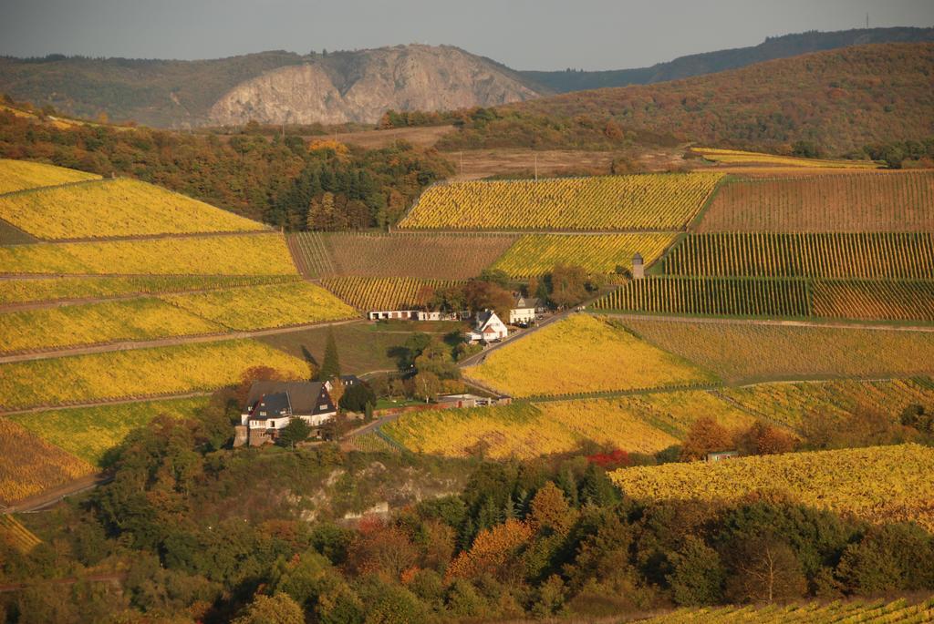 Gut Hermannsberg, Gaestehaus Niederhausen Екстер'єр фото