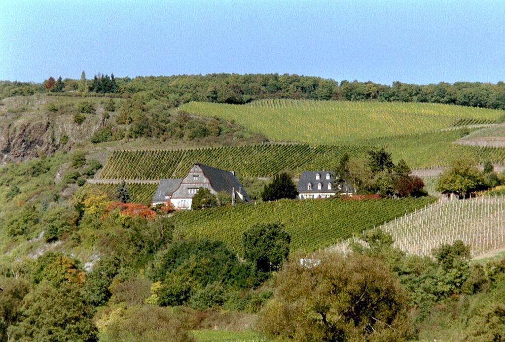 Gut Hermannsberg, Gaestehaus Niederhausen Екстер'єр фото